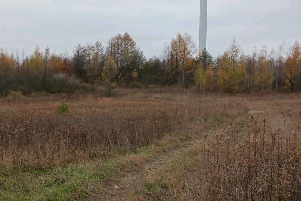 Trail 13B - Rock Run Recreation Area