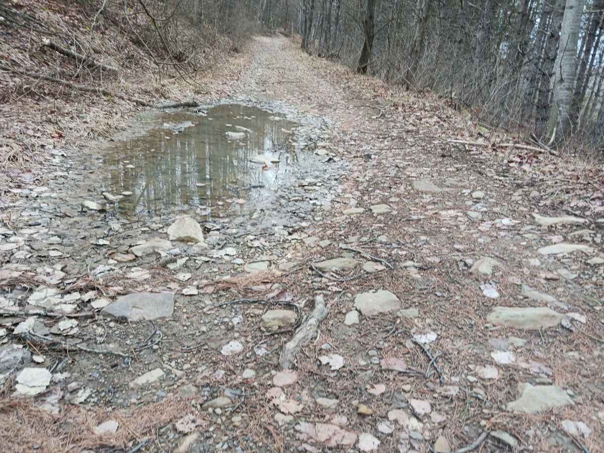 Trail 11E - Rock Run Recreation Area photo 3