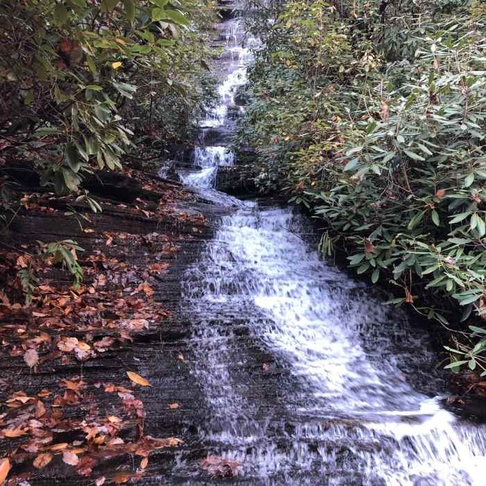 Near Angel Falls Trail #55