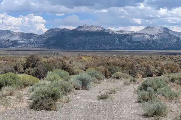 Forest Service Road 1S52