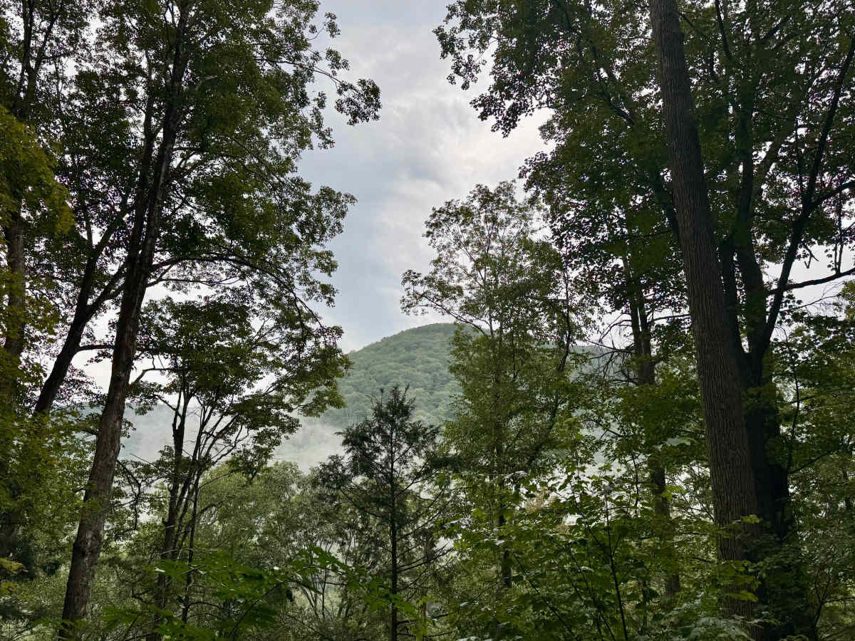 Montour Road trail photo