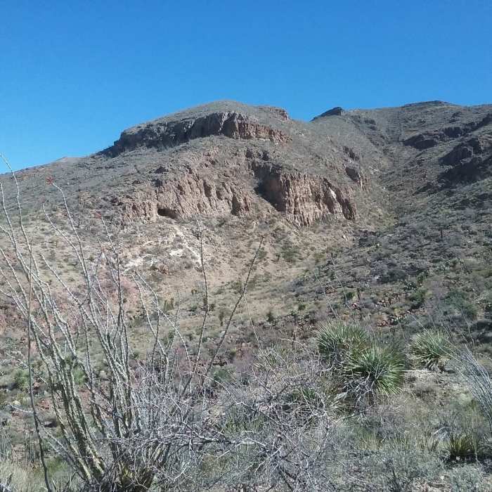 Near Thunderbird