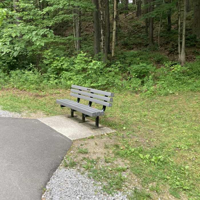 Near Ashuwillticook Rail Trail - Berkshire Mall Road to the town of Cheshire Near Ashuwillticook Rail Trail - Berkshire Mall Road to the town of Cheshire