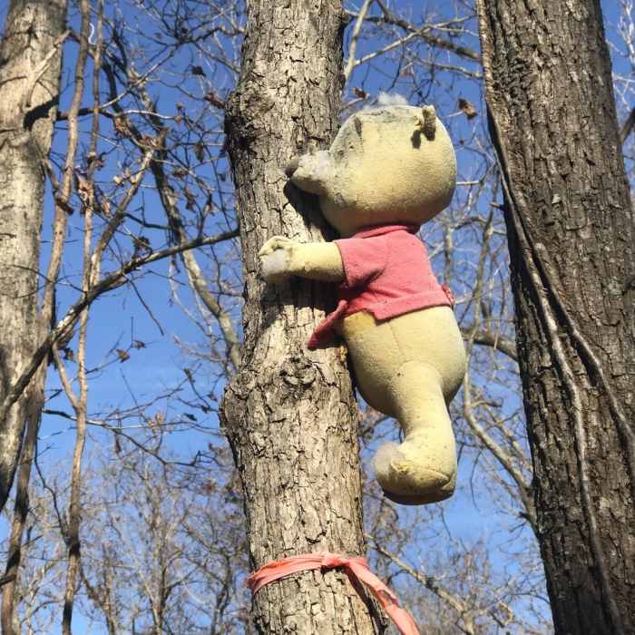 Winnie Pooh (there are about 4 of these scattered around; not sure why) Near Berry Bend East