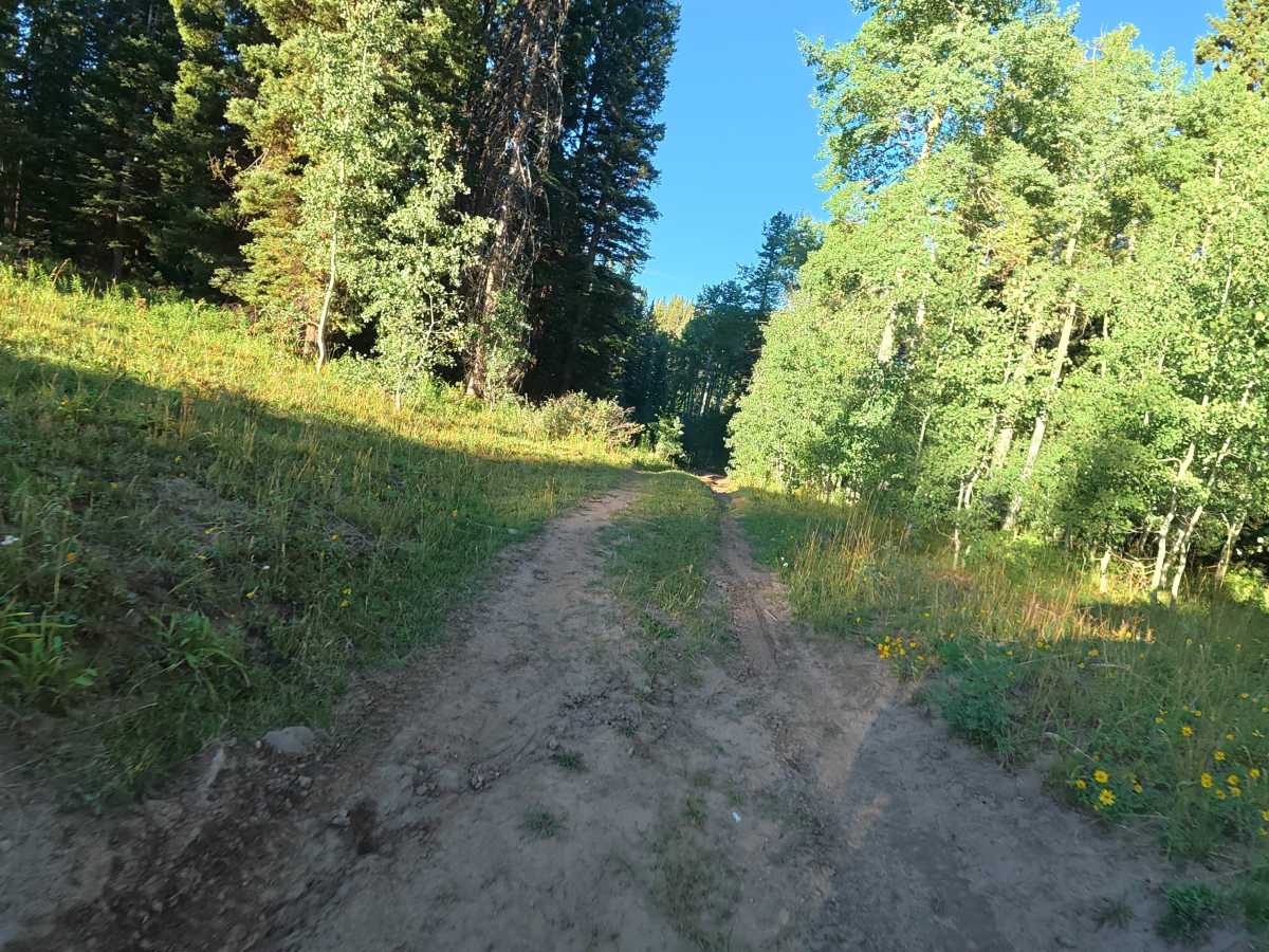 North Elk Cutoff Road - FS 248 photo 5