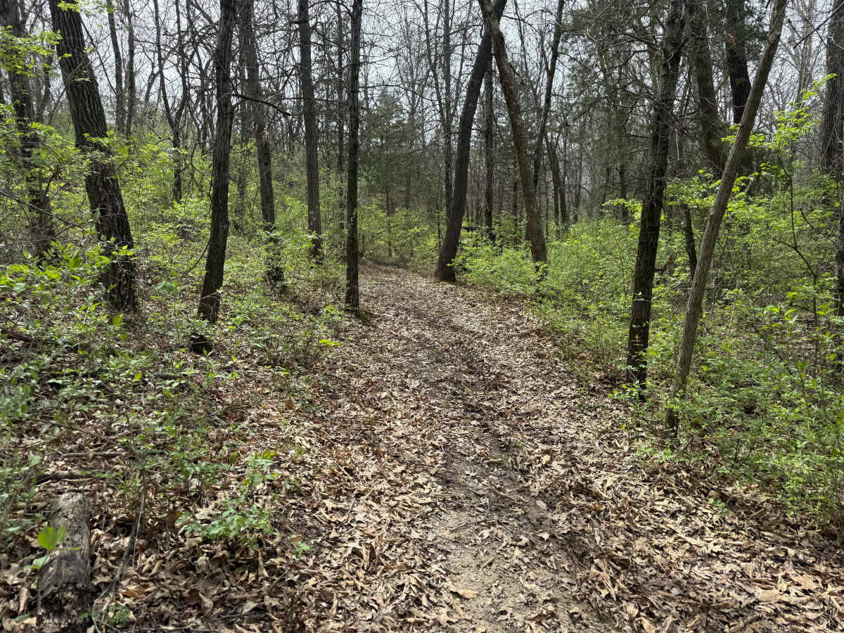Trail #5 photo 3
