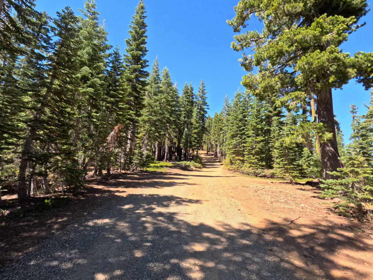 Deer Lake Road - FS 93-001 photo 3