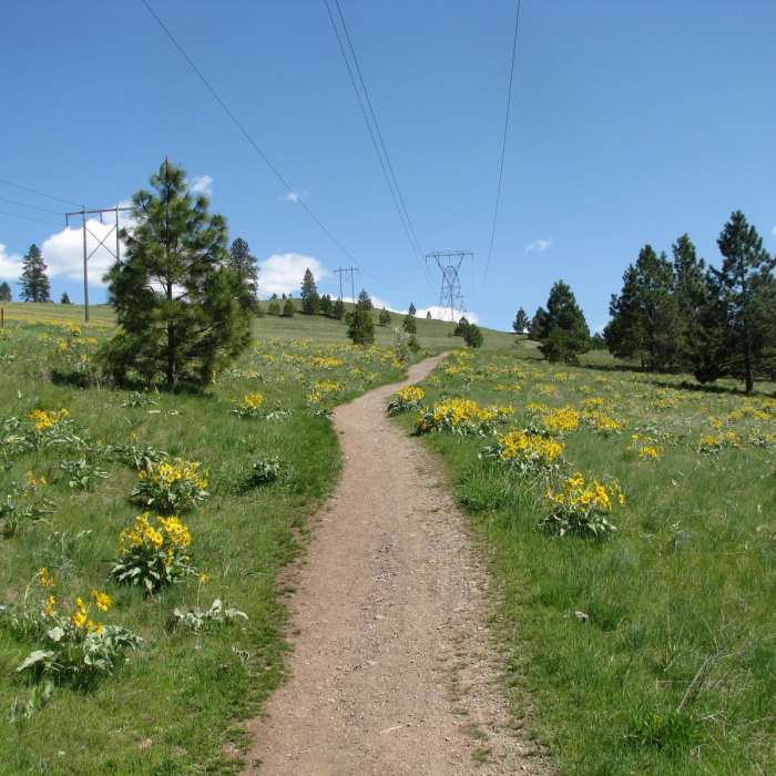 Near Sound of Music Trail to Woods Gulch Overlook