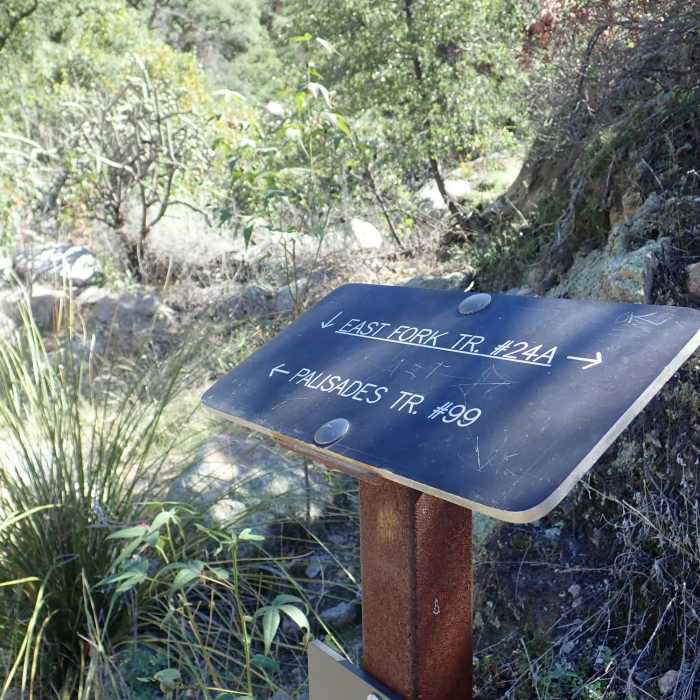 The East Fork trail junction at the terminus of Palisades #99 trail. Near AZT - Passage 11 - Santa Catalina Mountains