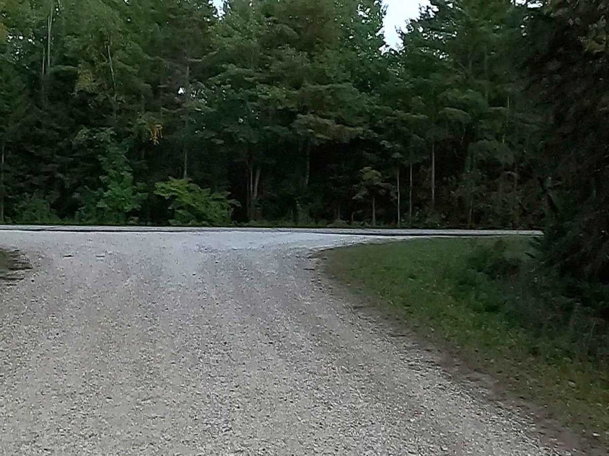 Carp River Road - FS 3308  photo 4