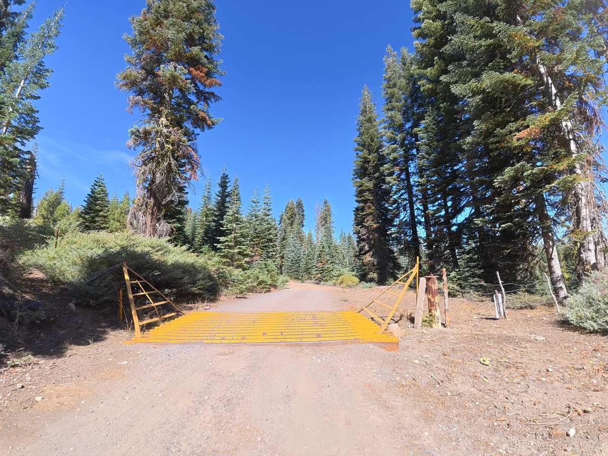FS 6N94 trail photo