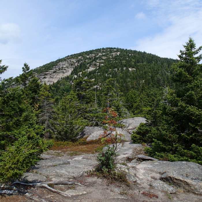 View of Catamount summit from top of the false summit. Near Catamount Mountain Trail