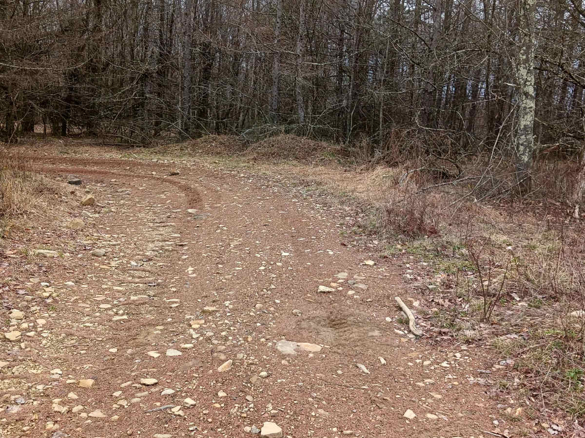 Trail 15 - Rock Run Recreation Area photo 2