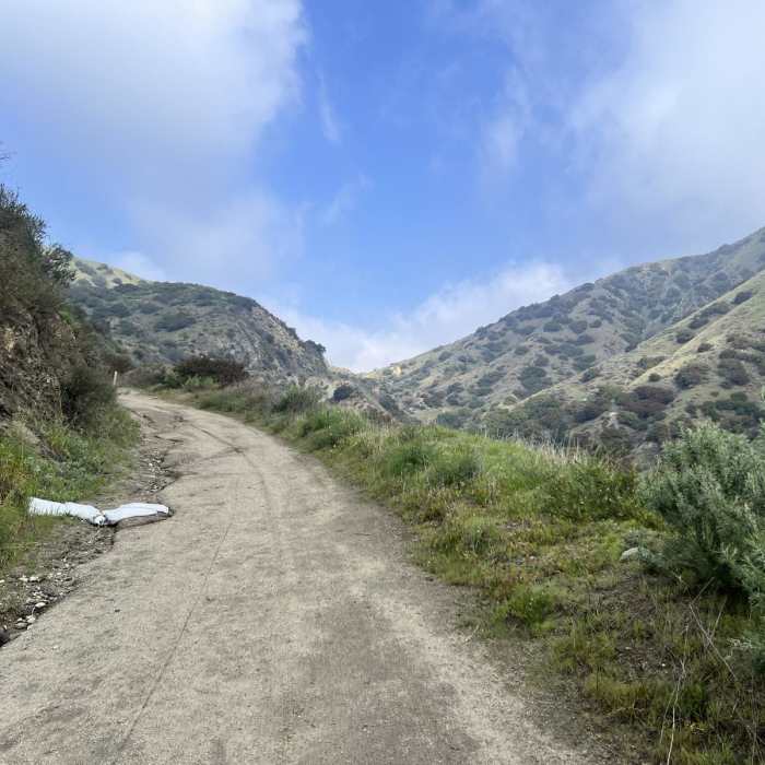 Near Olivia Terrace to Stough Canyon