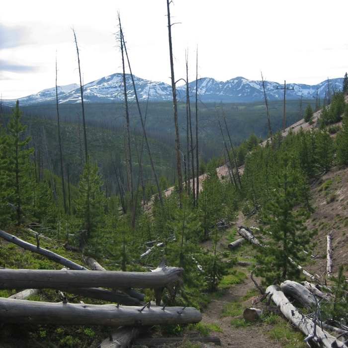 Near Solfatara Creek Trail