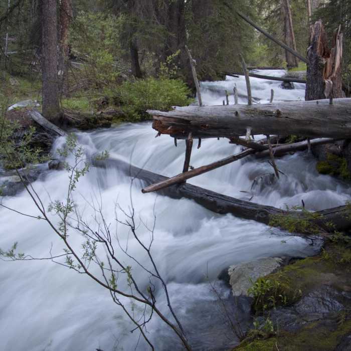 Near Alpine Way Trail, Fishhook Creek to Iron Creek