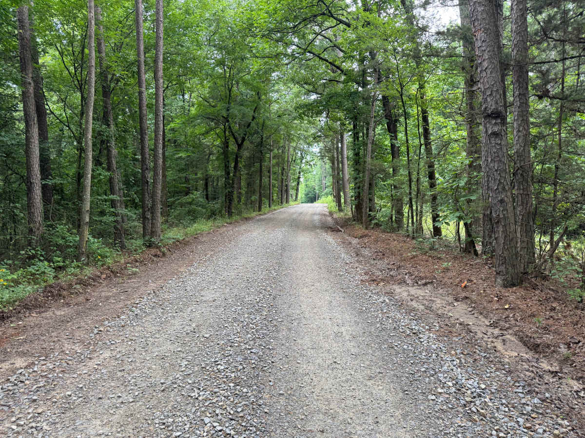 County Road 4451 photo 5