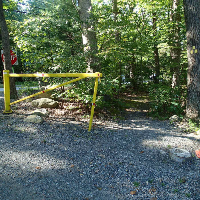 Near 100 Steps Trail