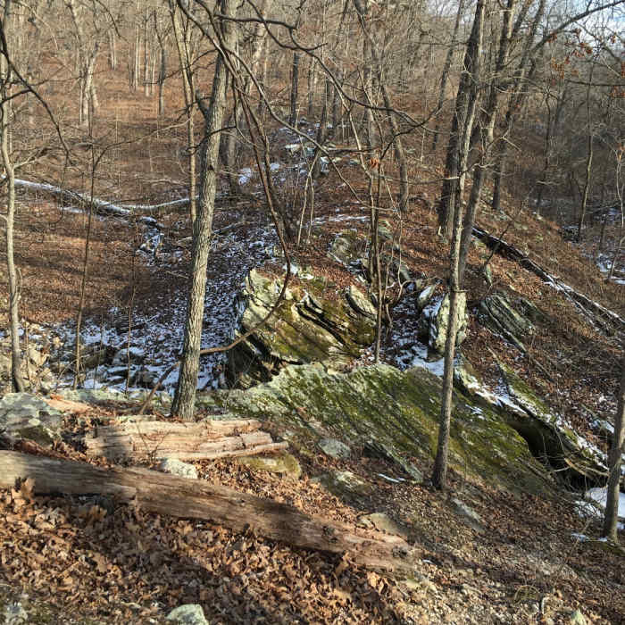 Mossy rocks along the Turkey Pen Hollow Trail. Near Turkey Pen Hollow Trail