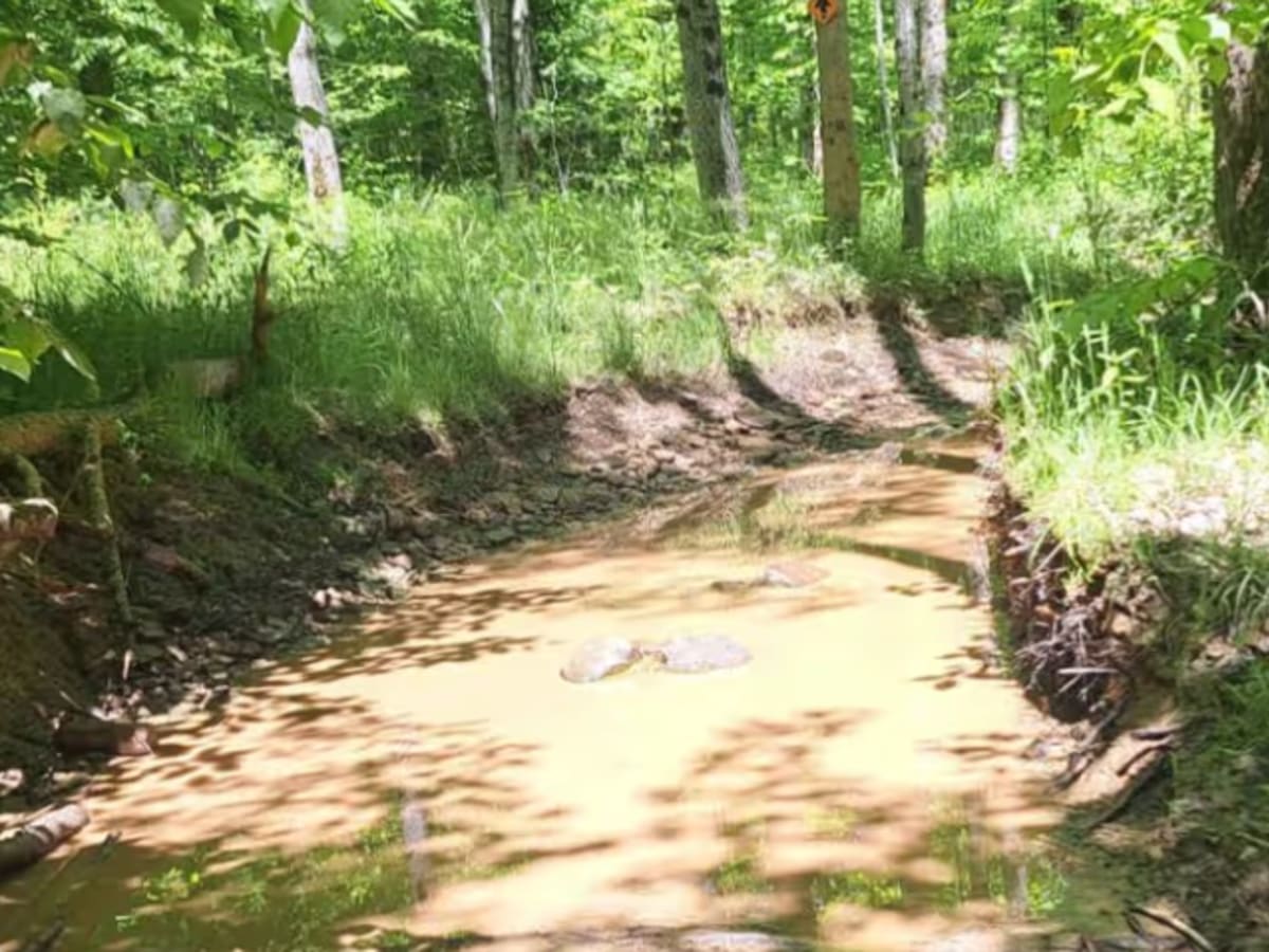 Up Hill Mud Bog photo 5