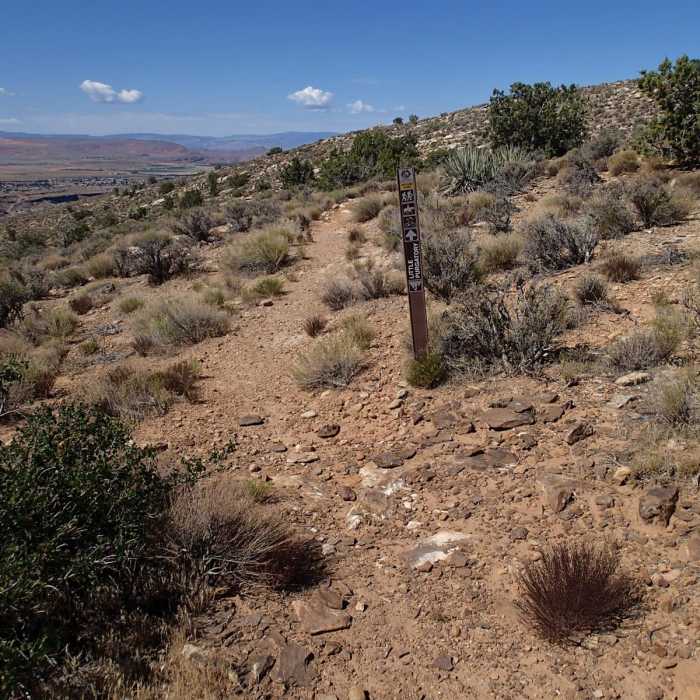 Near Little Purgatory Trail