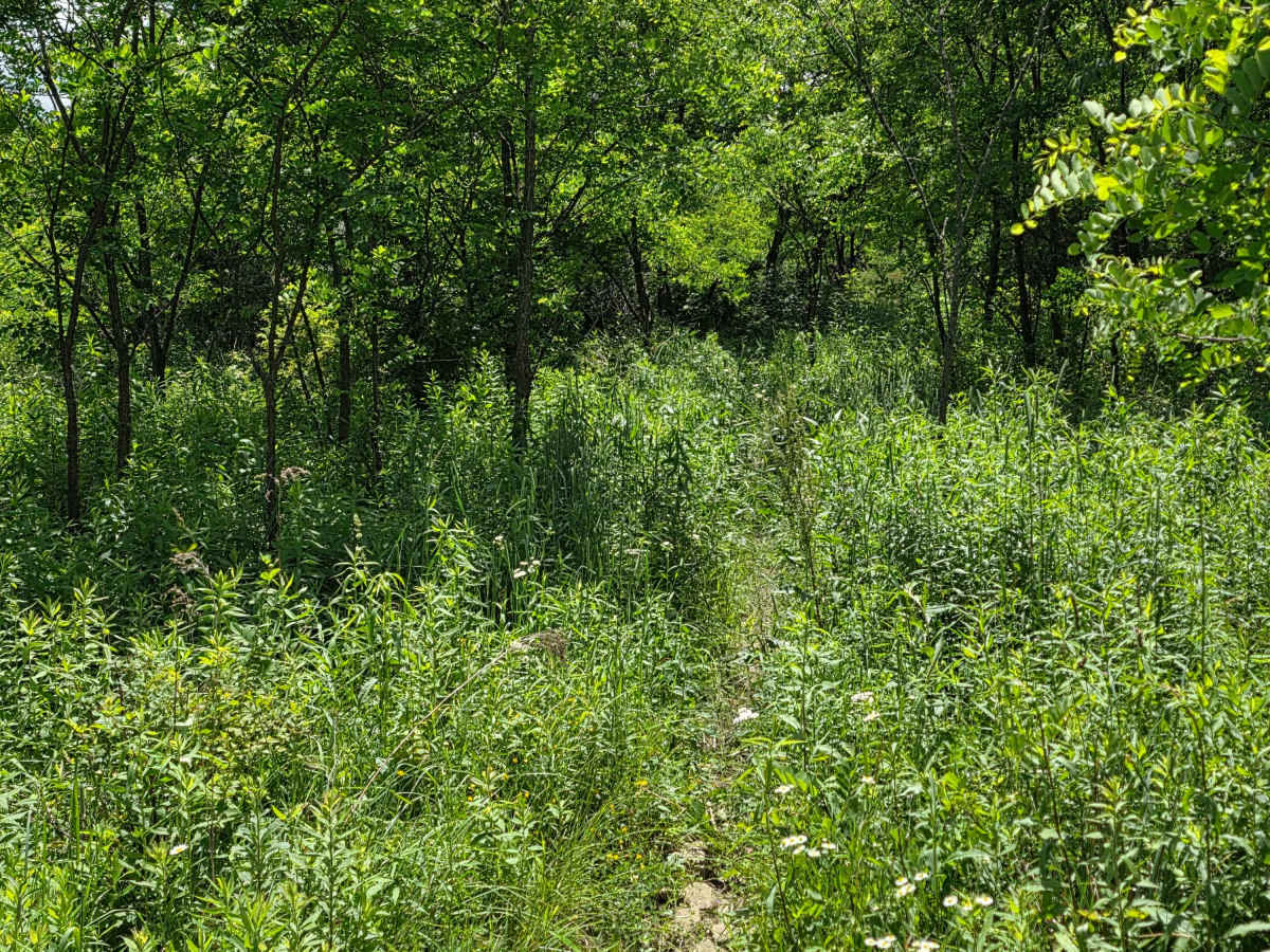 Single Track TT photo 4