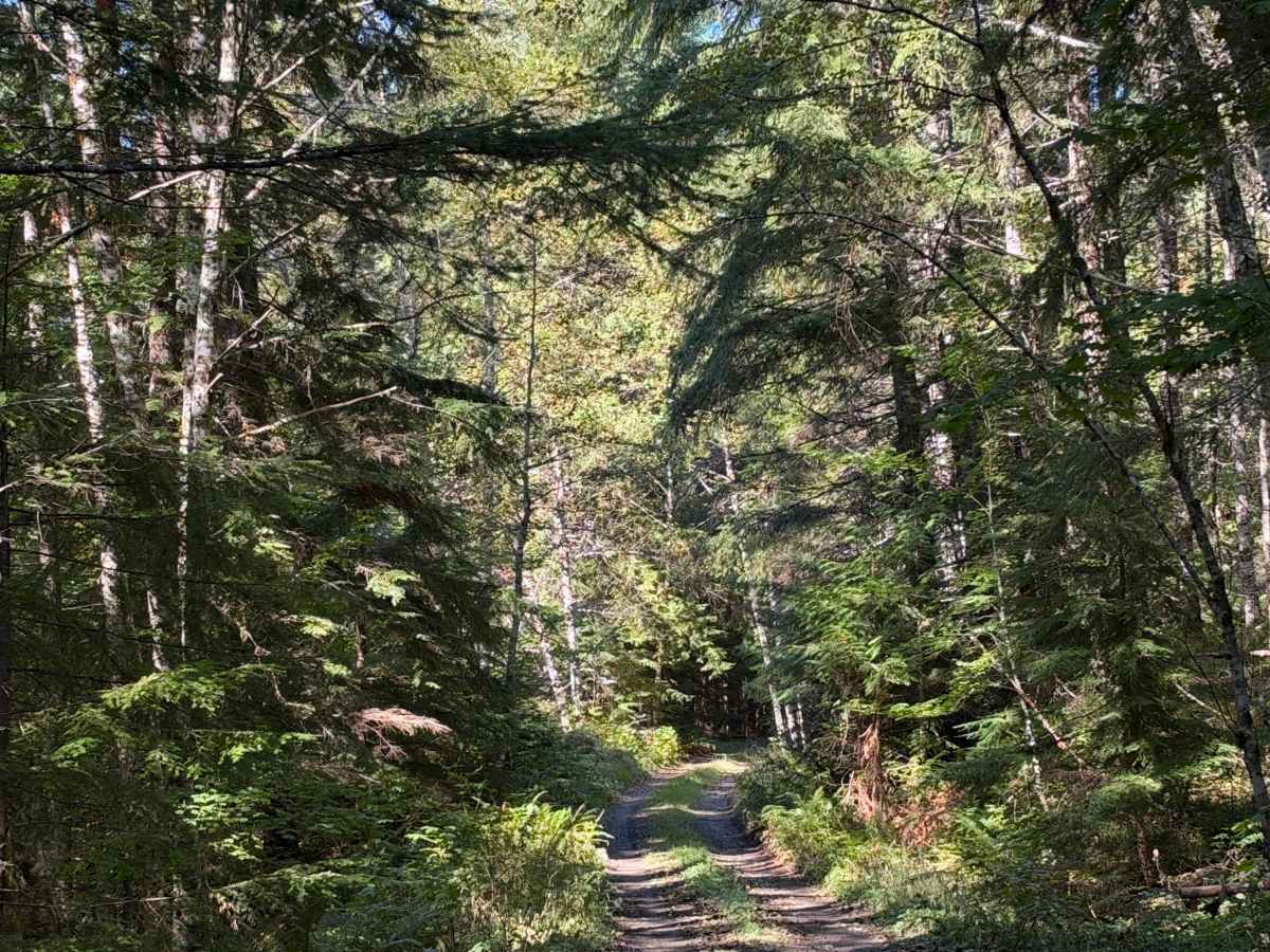 Rinker Ridge photo 4
