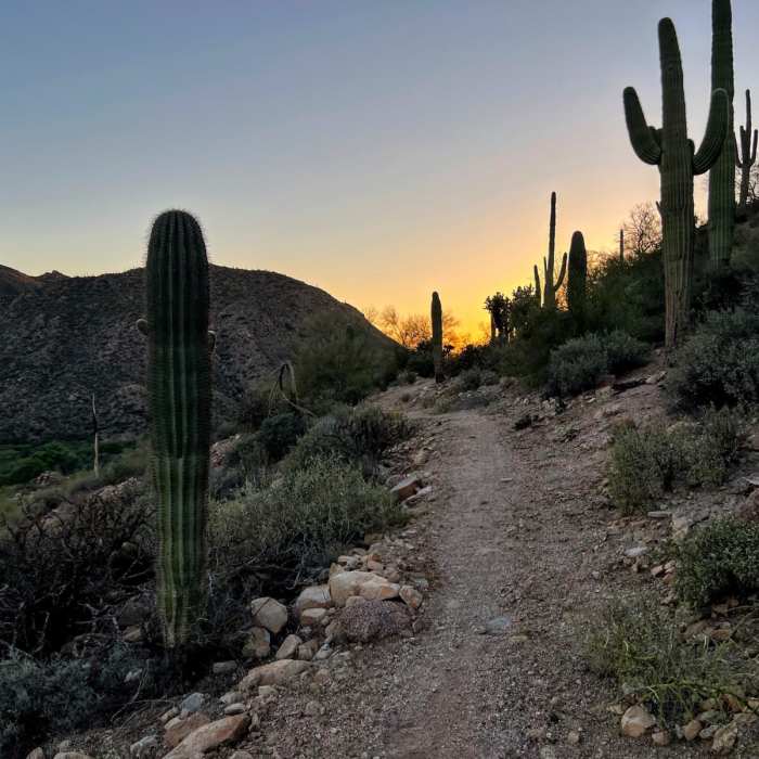 Near Arizona Trail Passage 16: Gila River Canyons