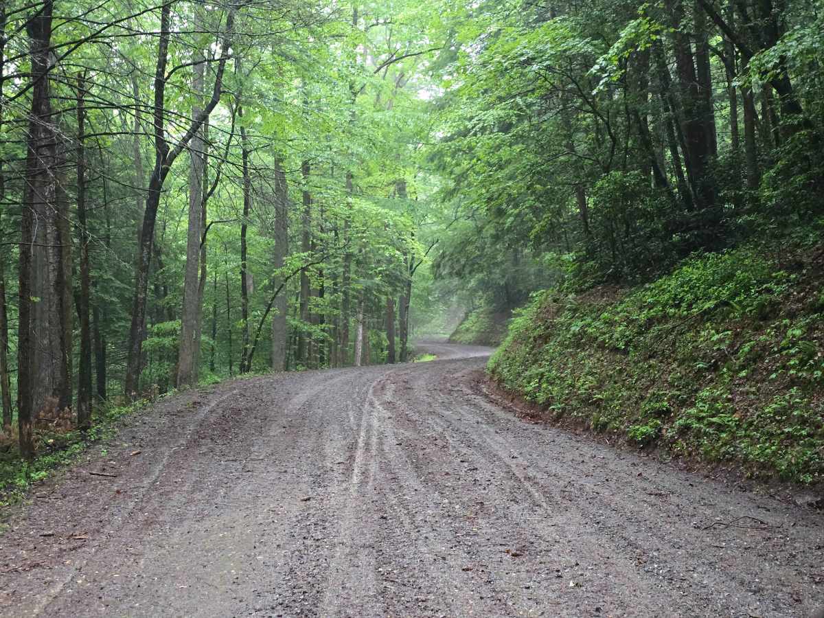 Burrell Mountain (State Road 1325) photo 4