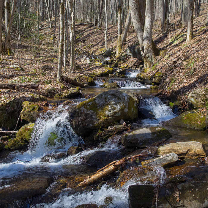 West Fork Fisher Creek at Pinnacle Park on MST Segment 1B. Photo by Jeff Clark, www.internetbrothers.org. Near Pinnacle Park Tour