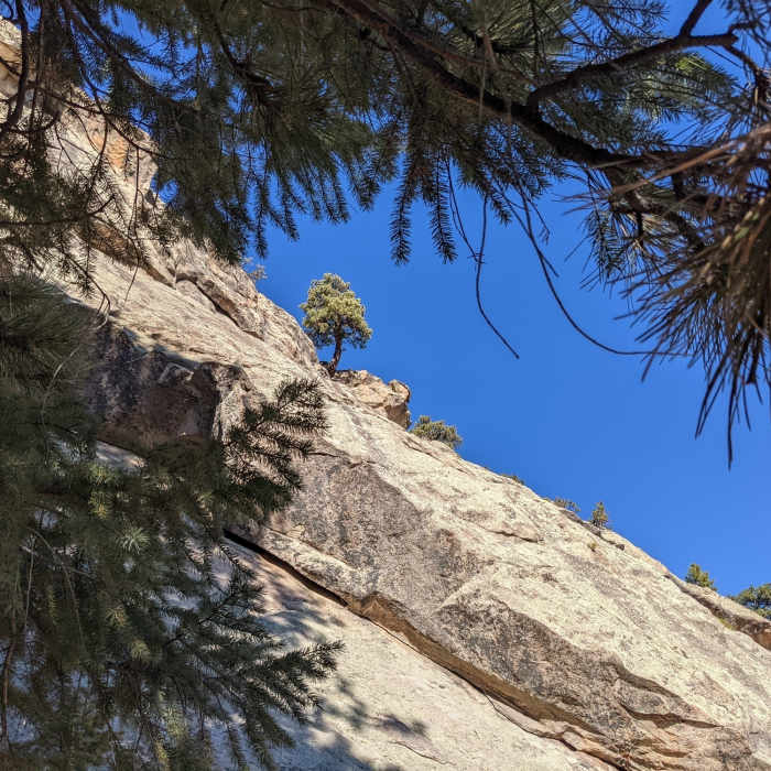 Near Elephant Butte Trail