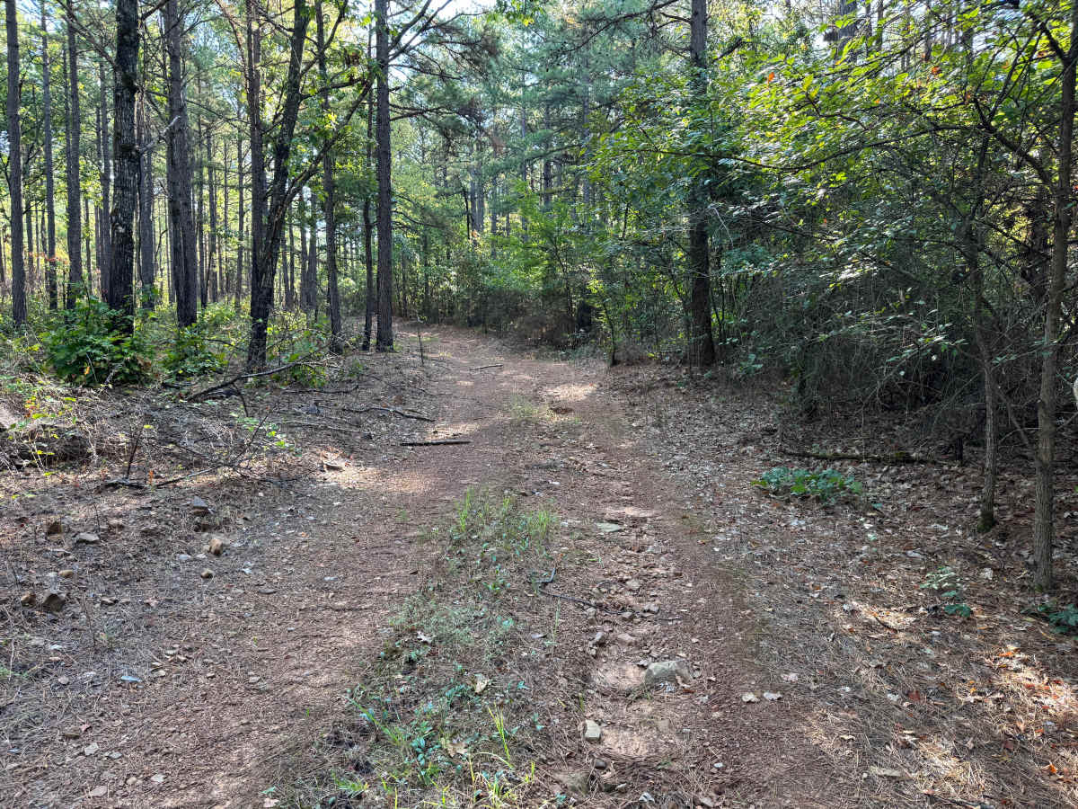 Slick Rock photo 4