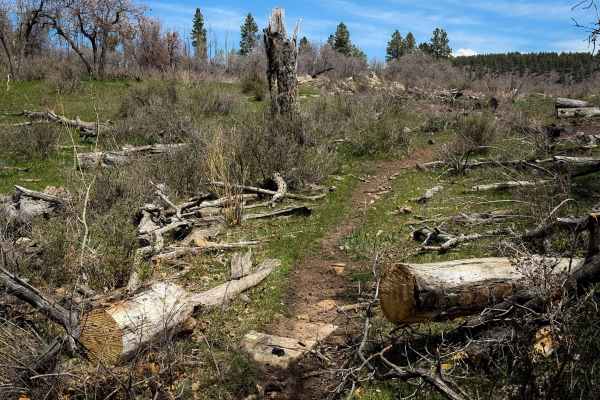 Trust Lands Singletrack (South) 
