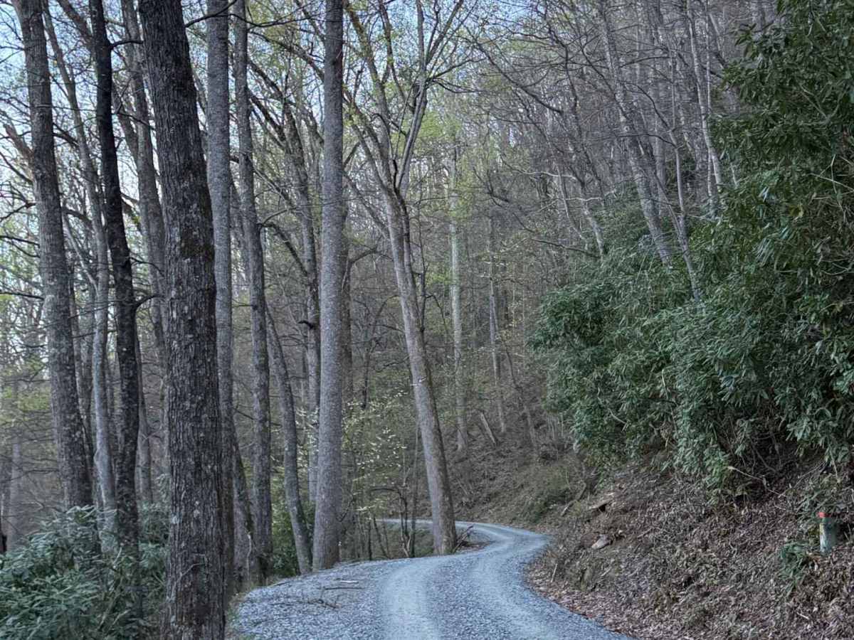 Avery Creek - FS 477 photo 4