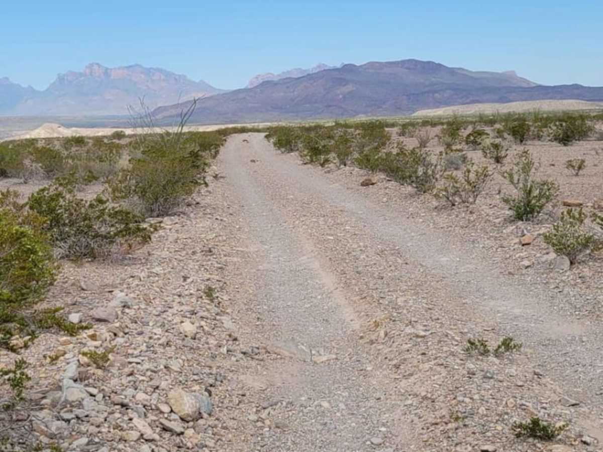 Glenn Springs Road photo 5