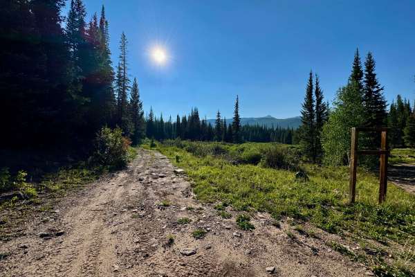 Dome Creek Road - FS 911