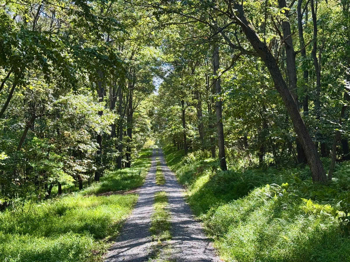 Fisher Road photo 6