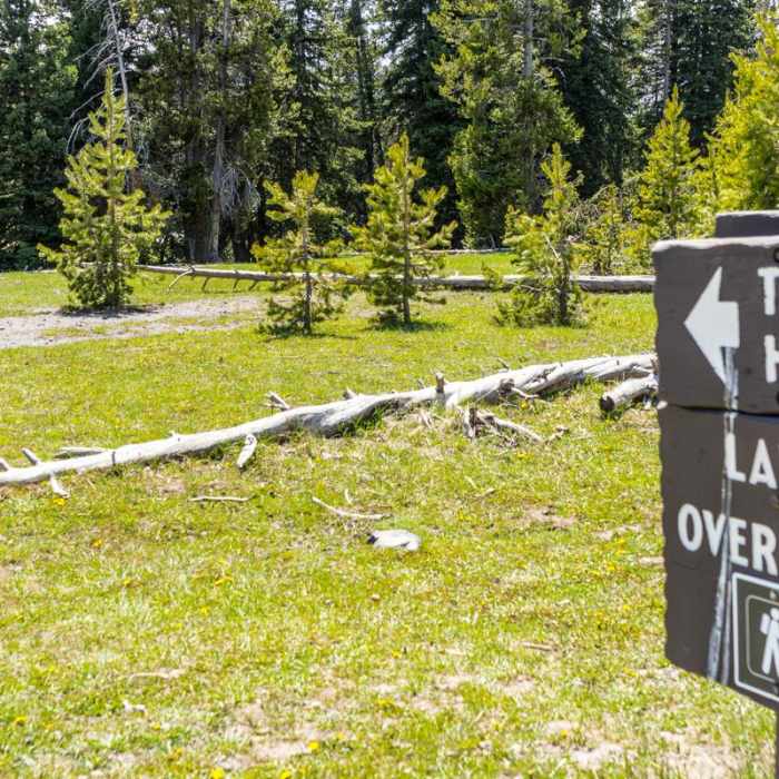 Near Lake Overlook Trail Near Lake Overlook Trail