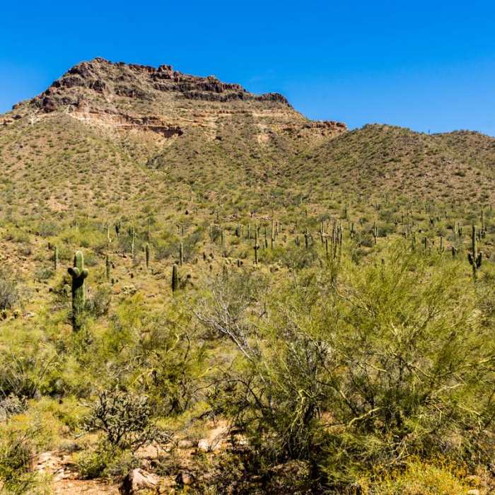 Near Cat Peaks Trail