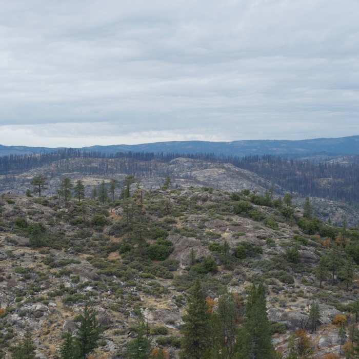 Near Lookout Point Trail