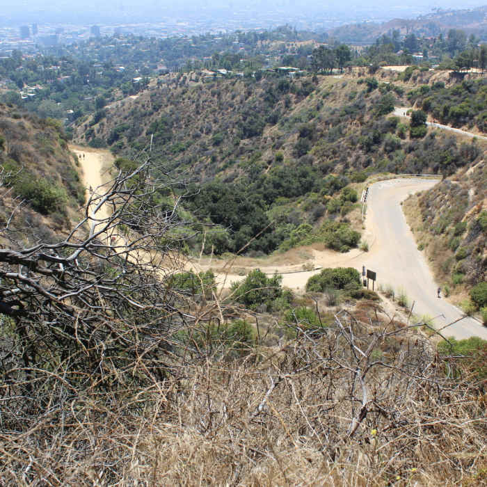 Near Mulholland Trail