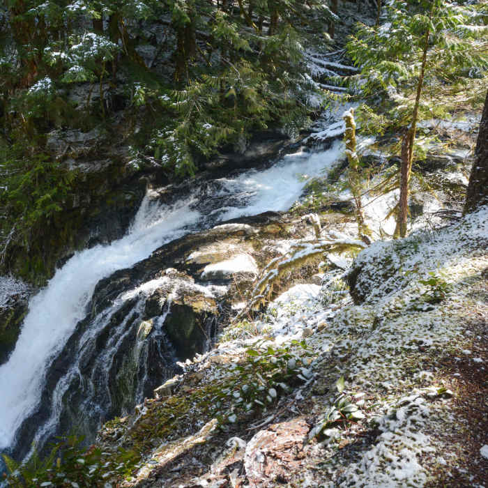Near Siouxon Creek
