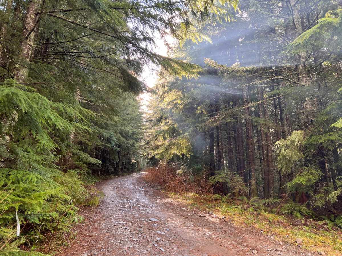 Green Mountain Gravel Pits photo 6