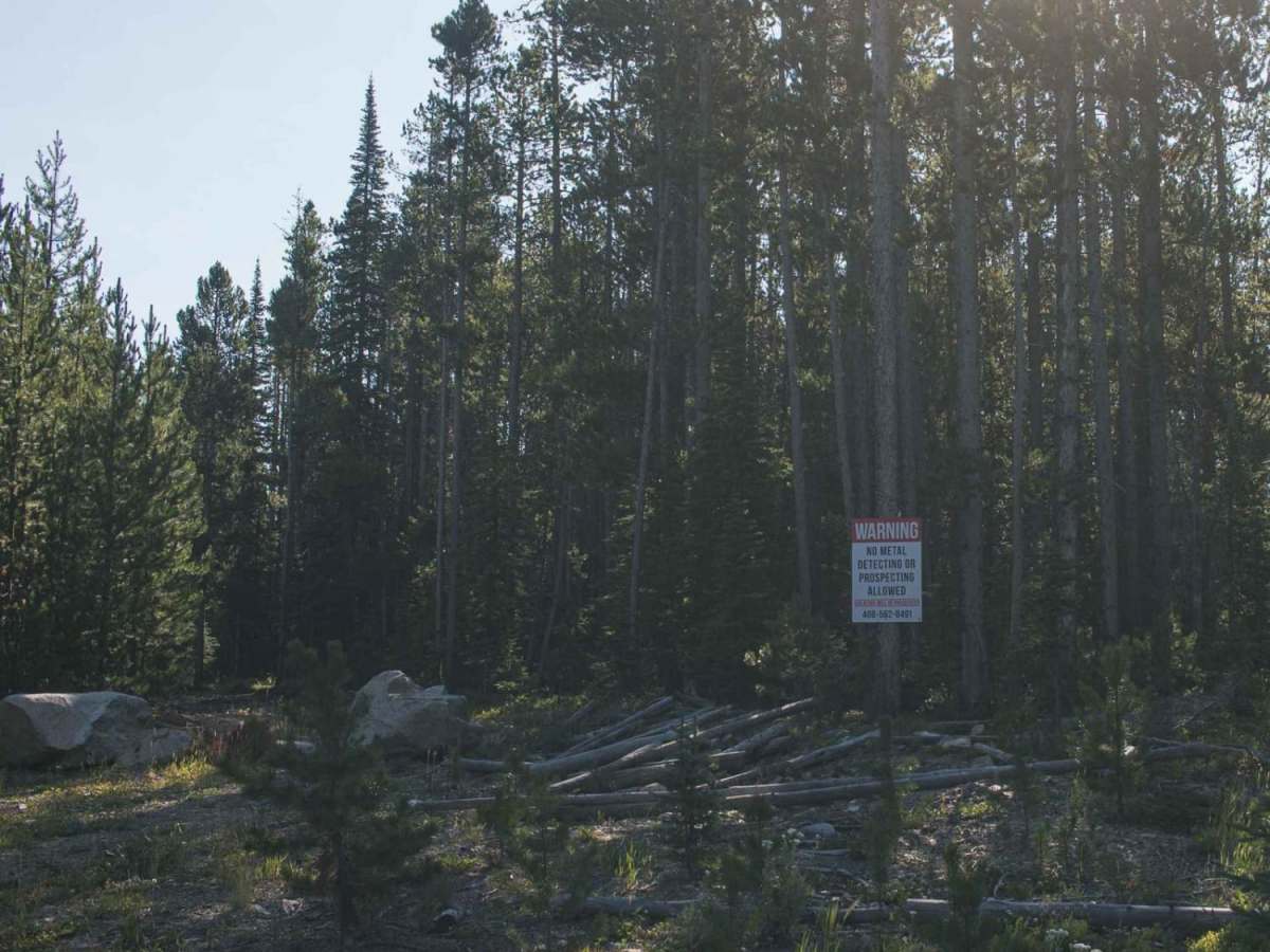 Gold Creek photo 4
