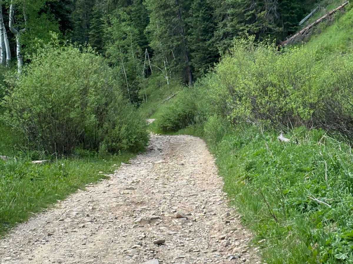 Little Box Road photo 5