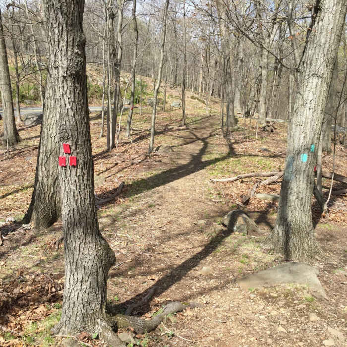 Near Blauvelt Northern Loop