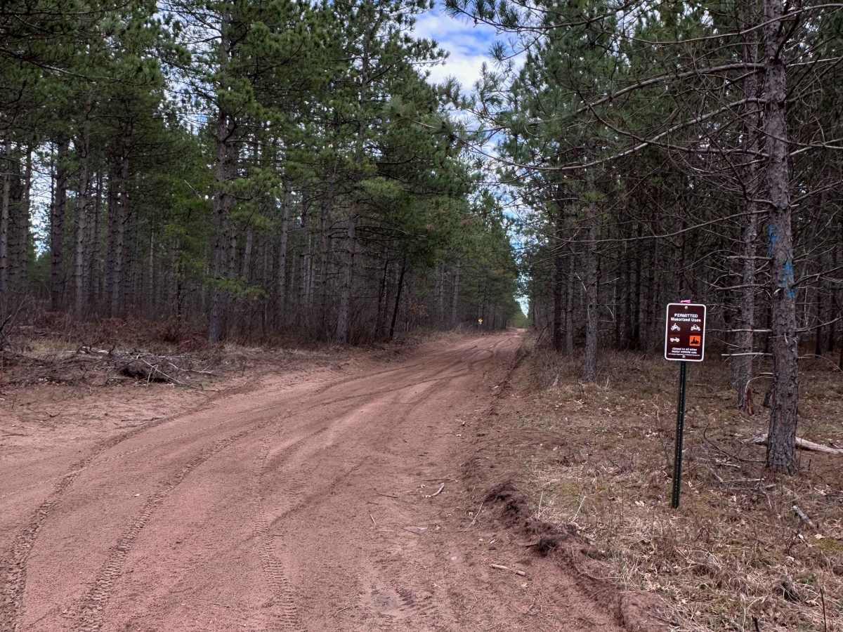 East West Forest Road trail photo