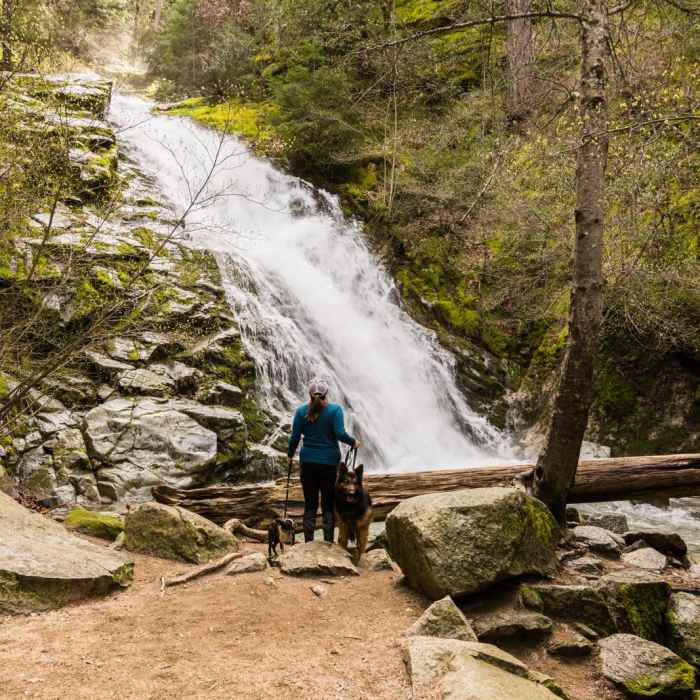 Near Whiskeytown Falls