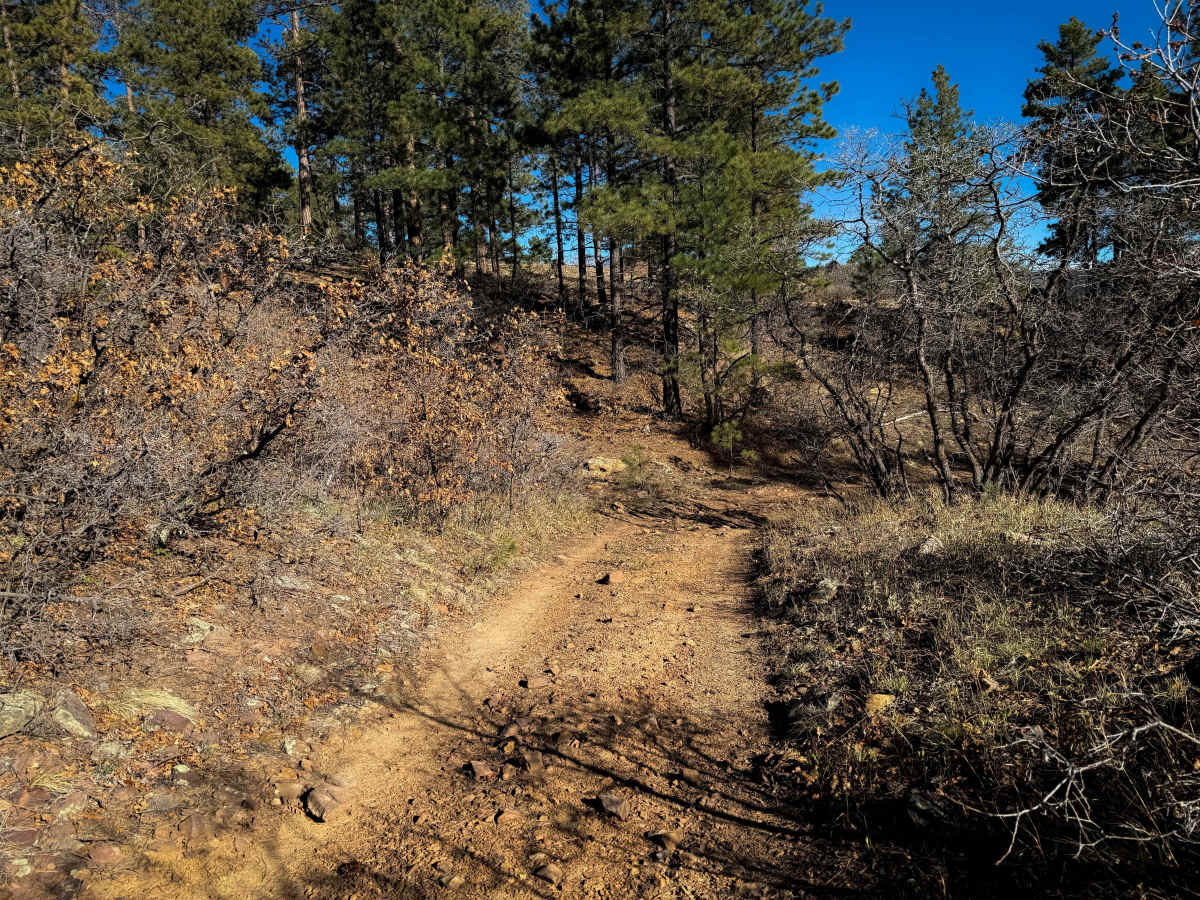 Eureka West  photo 4