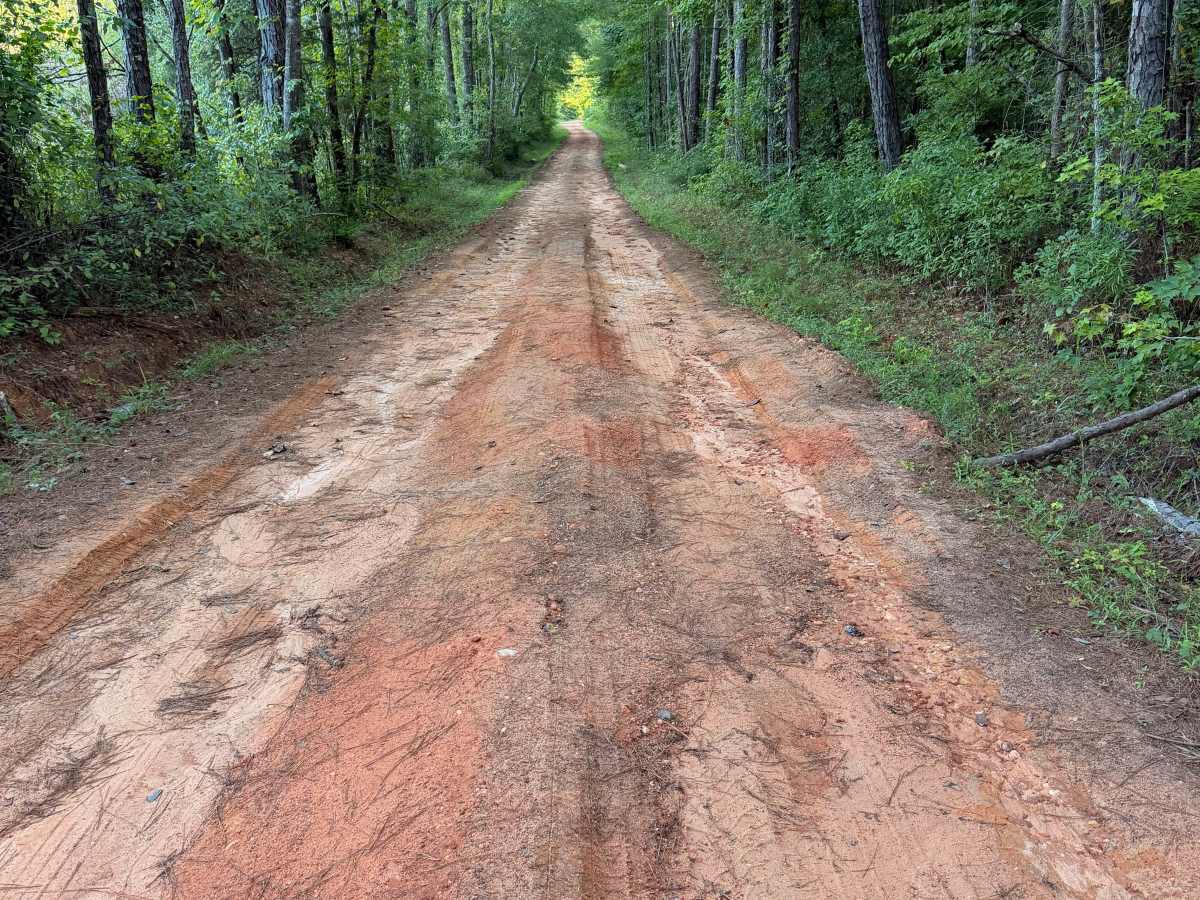Turkey Trail photo 6
